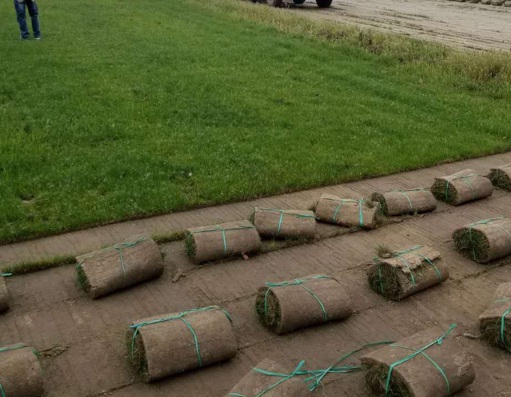 1629333761451002.jpg image.jpg