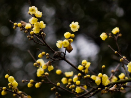 1629334495165071.jpg image.jpg