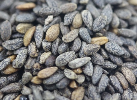 1629334800266593.jpg image.jpg