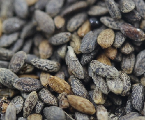 1629334813120414.jpg image.jpg