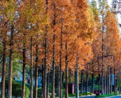 1629334966352803.jpg image.jpg