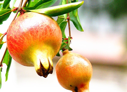 1629336718515274.jpg image.jpg