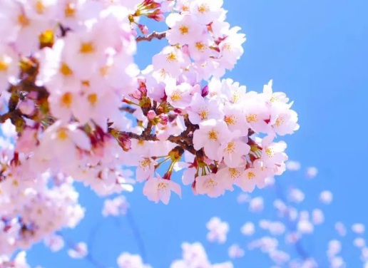 1629336926166132.jpg image.jpg