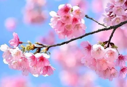 1629336957341645.jpg image.jpg