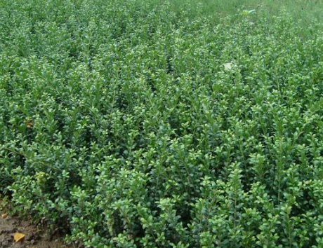 1629337198905209.jpg image.jpg