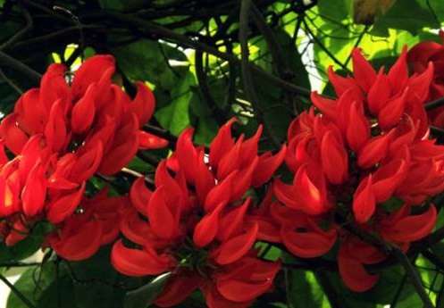 1629337483972010.jpg image.jpg