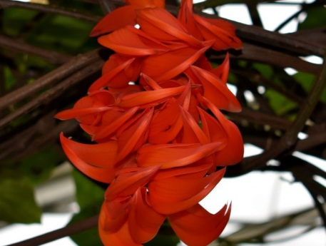 1629337495803644.jpg image.jpg