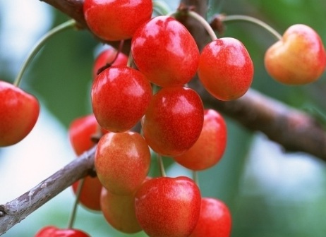 1629370678508046.jpg image.jpg