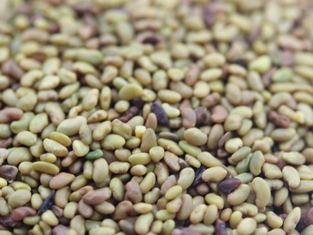 1629370965387585.jpg image.jpg