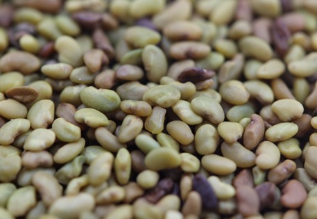 1629370973343567.jpg image.jpg