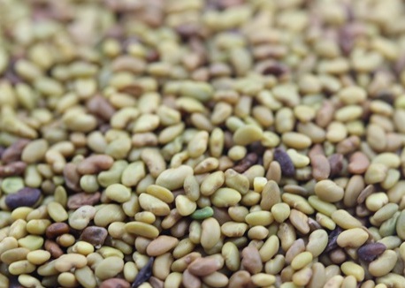 1629370985810050.jpg image.jpg