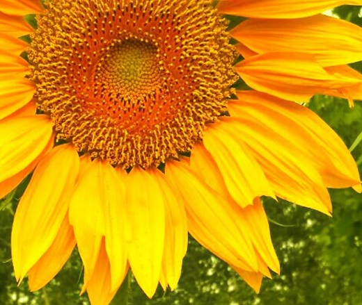 1629371083905446.jpg image.jpg