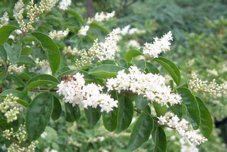 1629457941193175.jpg 1629457941193175.jpg