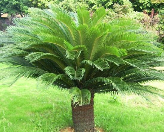 1629458646533309.jpg 1629458646533309.jpg