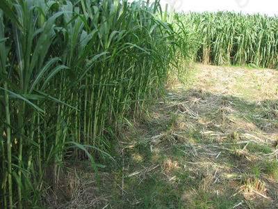 1629465927555809.jpg 1629465927555809.jpg