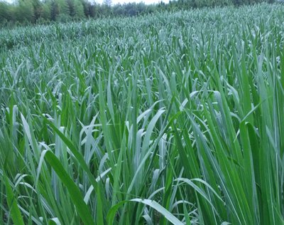 1629465927852791.jpg 1629465927852791.jpg