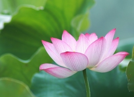 1629469710552395.jpg image.jpg