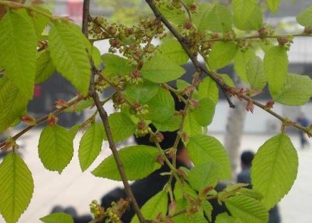 1629469823761409.jpg image.jpg