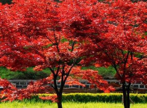 1629469999610759.jpg image.jpg