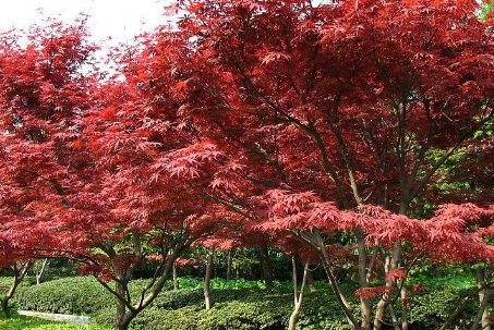 1629470036717088.jpg image.jpg