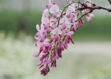 1629470220498953.jpg image.jpg