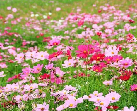 1629470408542424.jpg image.jpg