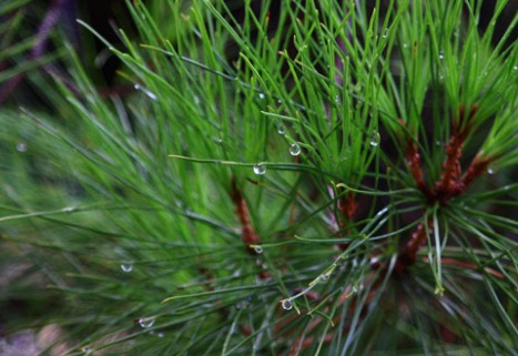 1629470850915063.jpg image.jpg