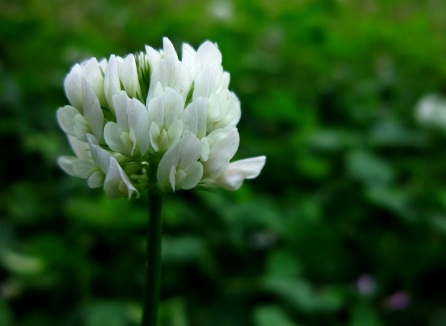 1629471616561352.jpg image.jpg