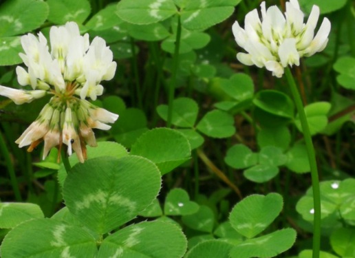 1629471636410551.jpg image.jpg