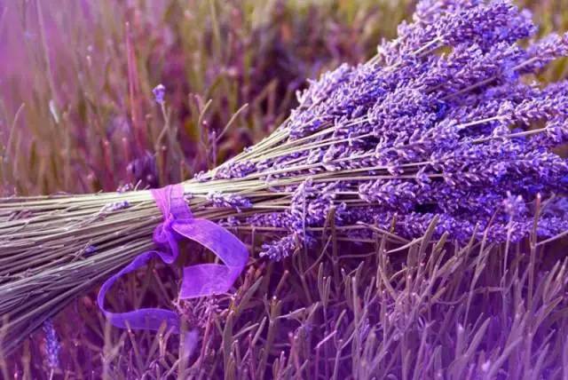 1629531388815183.jpg 1629531388815183.jpg