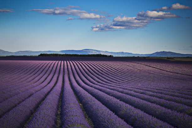 1629531389518162.jpg 1629531389518162.jpg