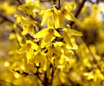 1629544669644546.jpg 1629544669644546.jpg