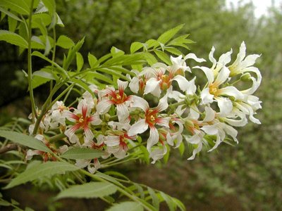 1629546001495145.jpg 1629546001495145.jpg