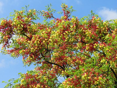 1629546024943055.jpg 1629546024943055.jpg