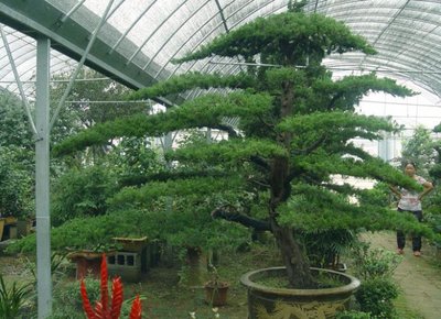 1629546236600210.jpg 1629546236600210.jpg