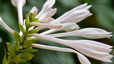 1629547386327615.jpg 1629547386327615.jpg