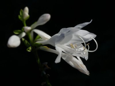 1629547405999296.jpg 1629547405999296.jpg