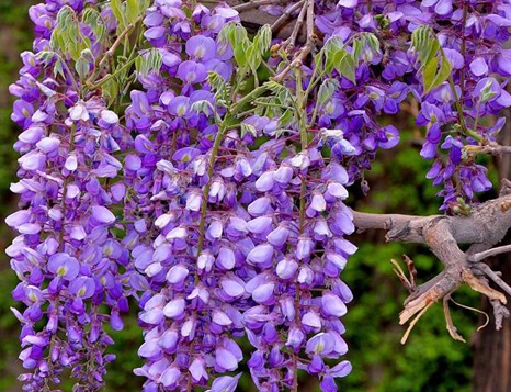 1629550042929690.jpg image.jpg