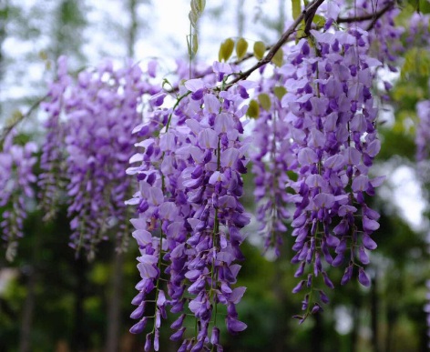 1629550050348482.jpg image.jpg