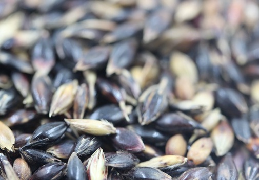 1629550161313508.jpg image.jpg