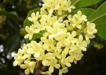 1629550736353658.jpg image.jpg