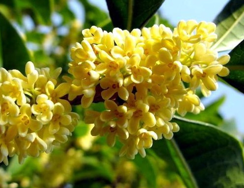 1629550743133375.jpg image.jpg