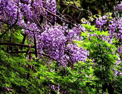 1629550862227816.jpg image.jpg