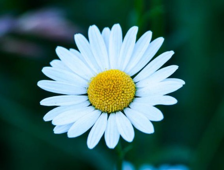 1629551251139537.jpg image.jpg