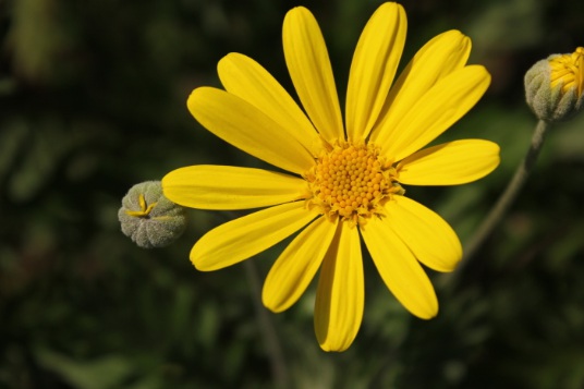 1629551261398935.jpg image.jpg