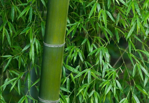 1629551350593697.jpg image.jpg