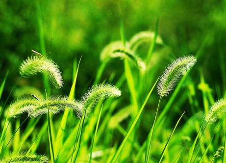 1629551430213642.jpg image.jpg