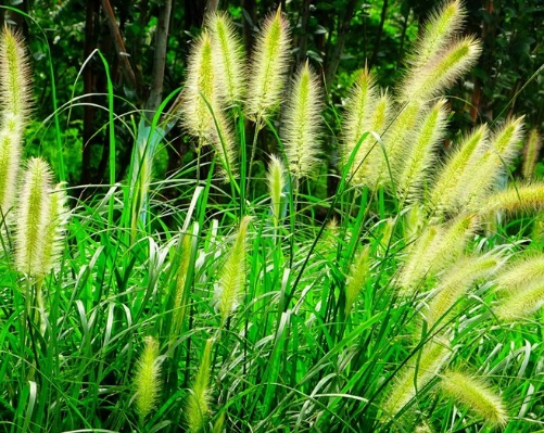 1629551439140675.jpg image.jpg