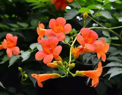 1629551680452833.jpg image.jpg