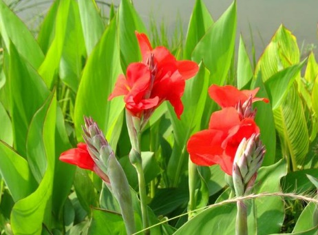 1629551771494863.jpg image.jpg